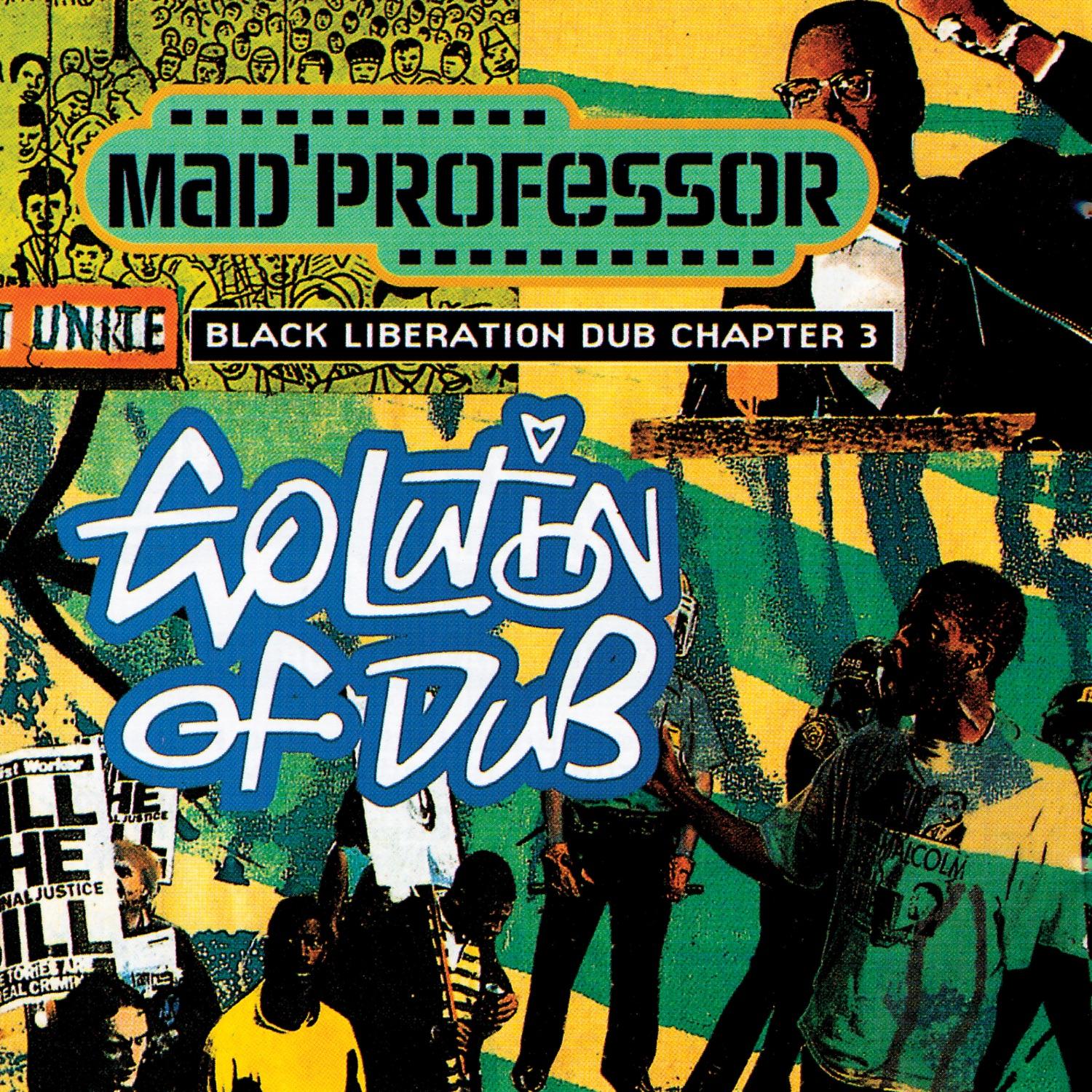 Evolution Of Dub (chapter 3)