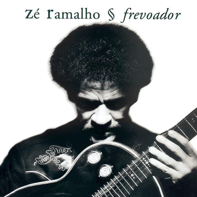 Album cover art for Frevoador
