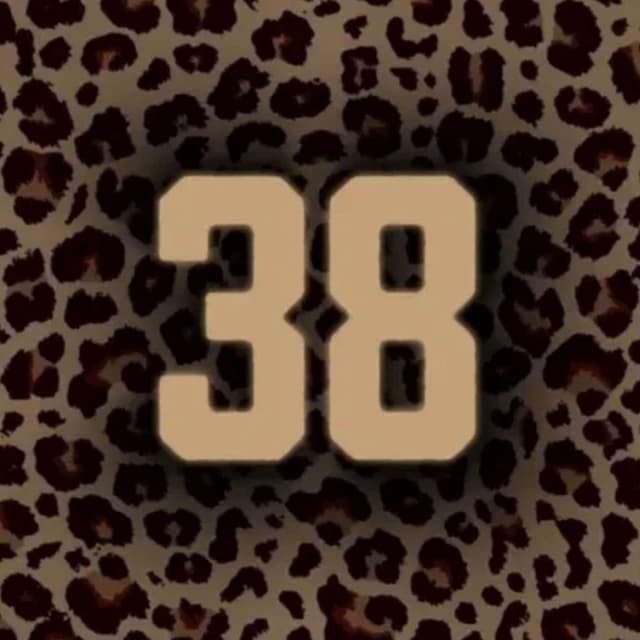 Album cover art for #38 (#38)