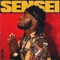 Album cover art for Sensei