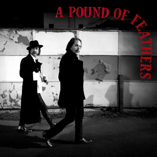 Album cover art for A Pound of Feathers