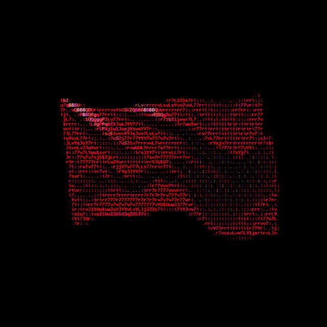 Album cover art for WAVE THE BULL