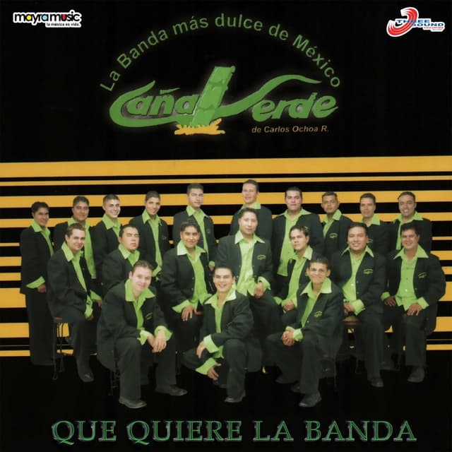 Album cover art for Que Quiere La Banda
