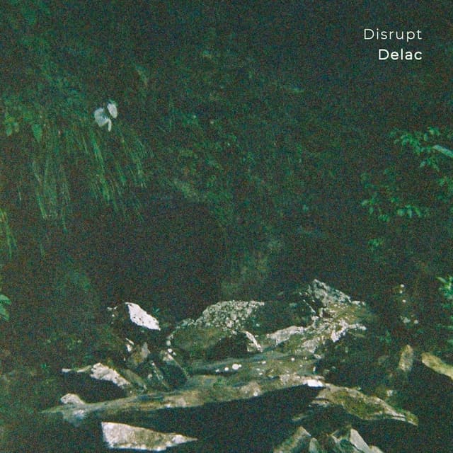 Album cover art for Disrupt