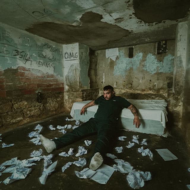 Album cover art for Dama