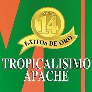 Album cover art for Mis 14 Exitos De Oro