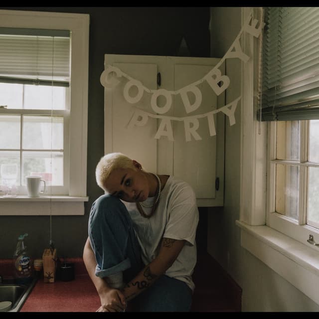 Album cover art for Goodbye Party