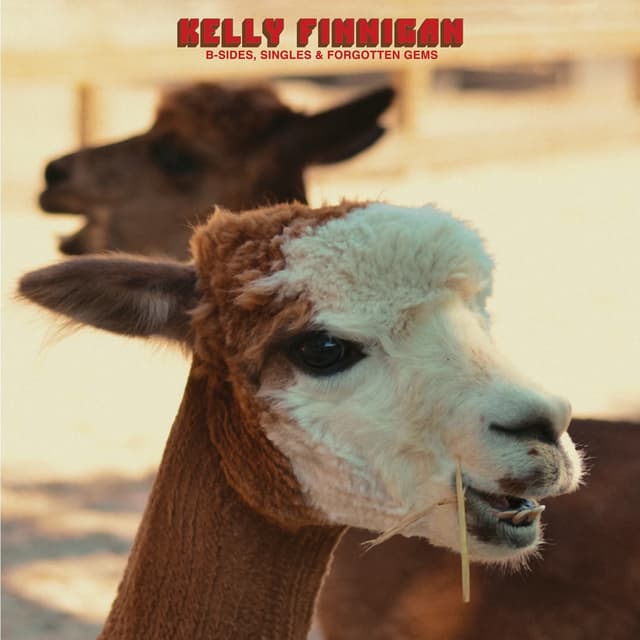 Album cover art for B-Sides, Singles & Forgotten Gems