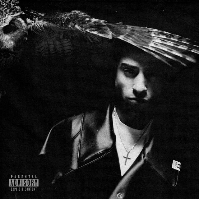 Album cover art for The Illest, Vol. 3