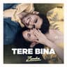 Tere Bina