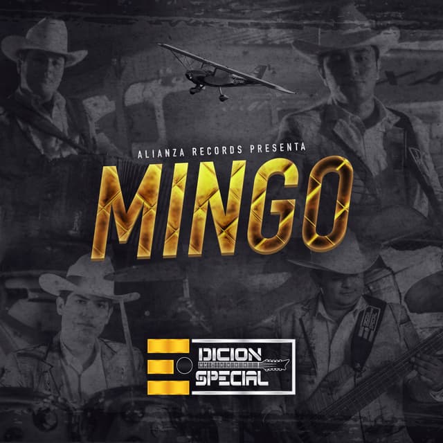 Album cover art for Mingo