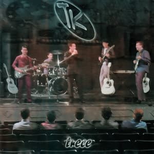 Album cover art for Trece
