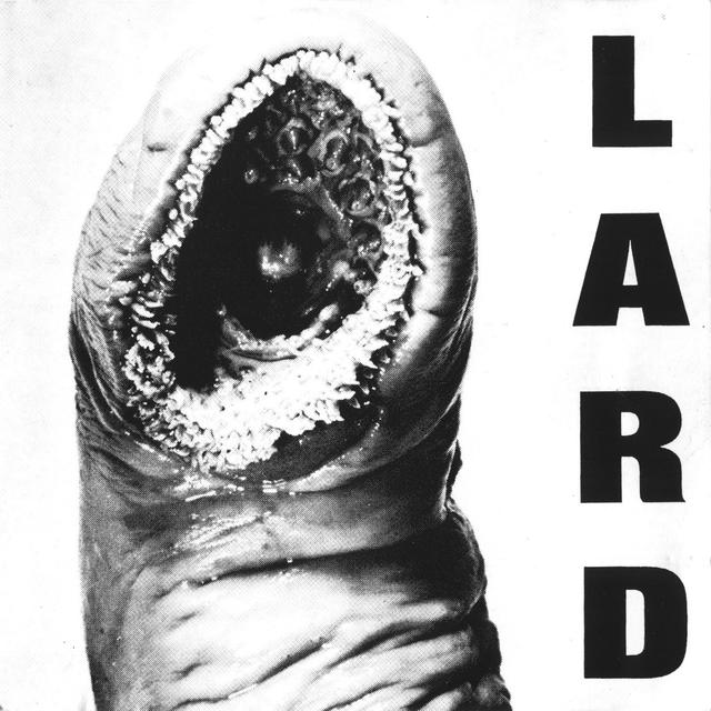 Album cover art for Power Of Lard