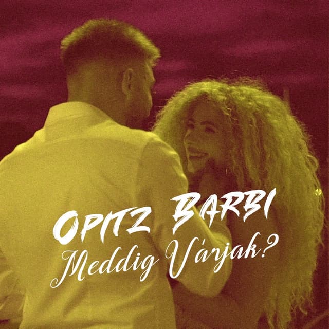 Album cover art for Meddig várjak?