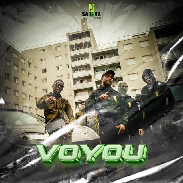Album cover art for VOYOU