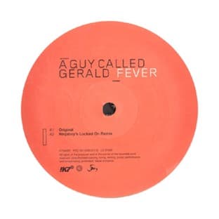 Album cover art for Fever