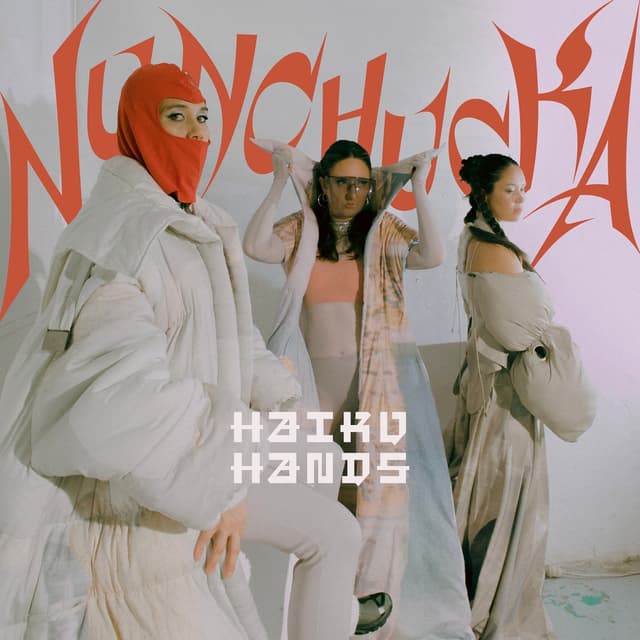 Album cover art for Nunchucka