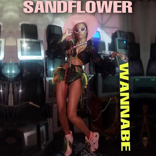 Album cover art for Wannabe