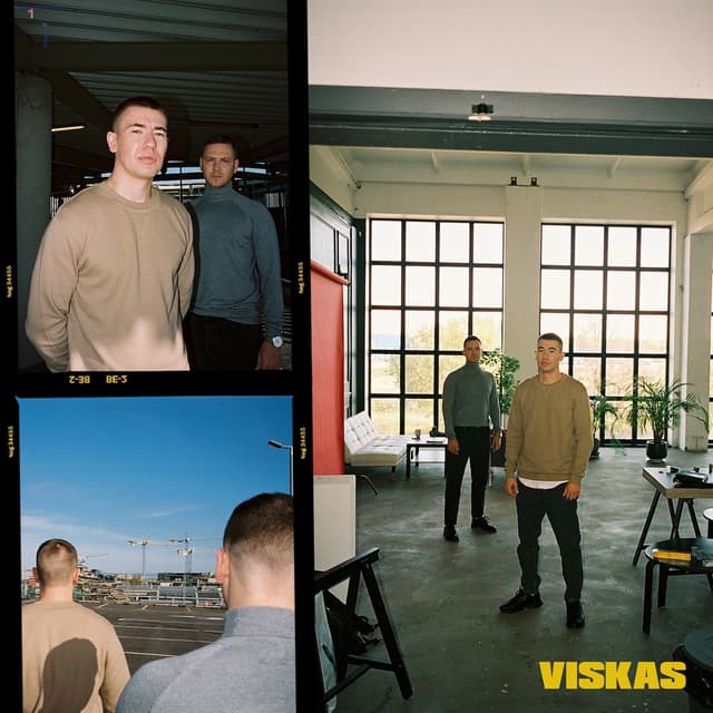 Album cover art for Viskas