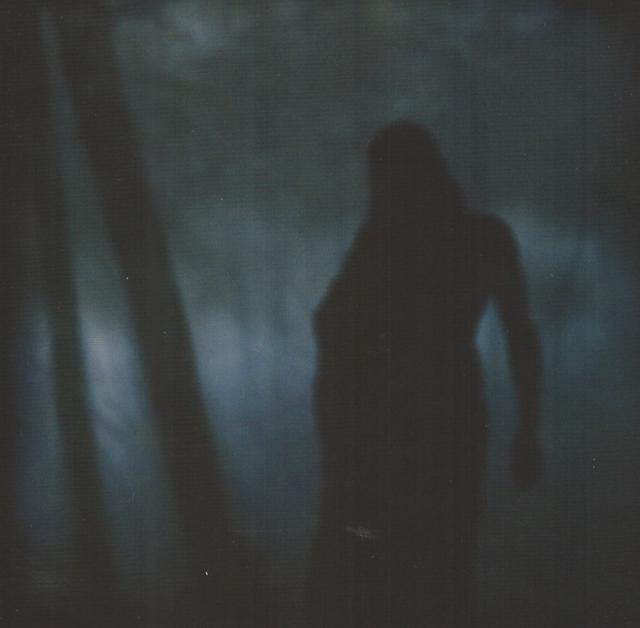 Album cover art for Weltengänger