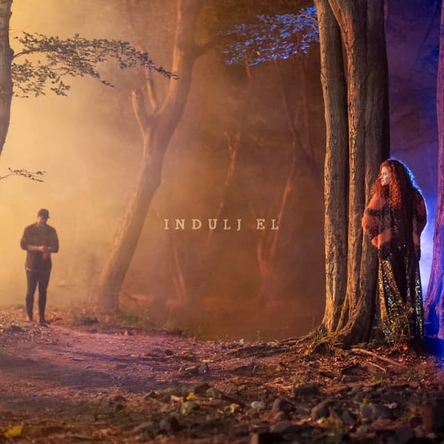 Album cover art for Indulj el