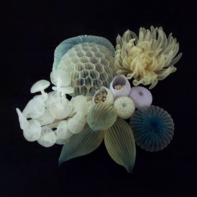 Album cover art for Life in Miniature