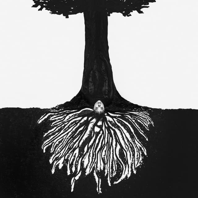 Album cover art for a tree planted by water