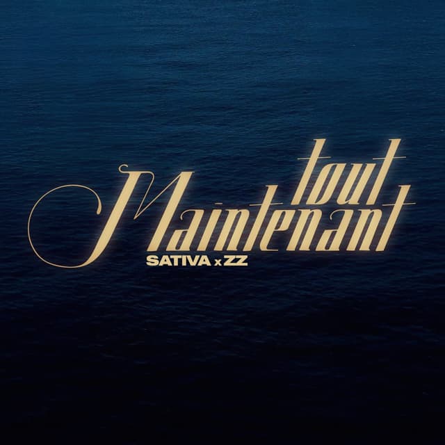 Album cover art for TOUT MAINTENANT