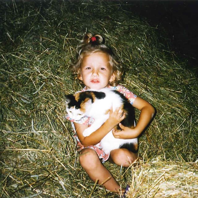 Album cover art for Närke