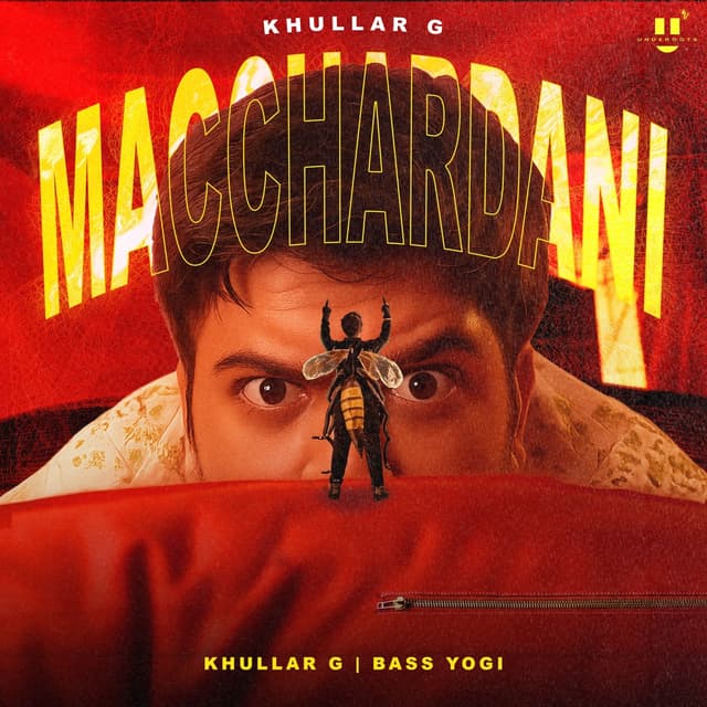 Album cover art for MACCHARDANI
