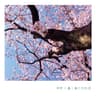 春になれば (When Spring Comes)