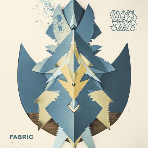 Album cover art for Fabric