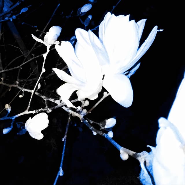 Album cover art for Я - це ти