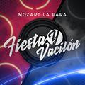 Album cover art for Fiesta Y Vacilon