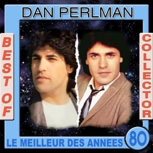 Album cover art for Best Of Collector Dan Perlman