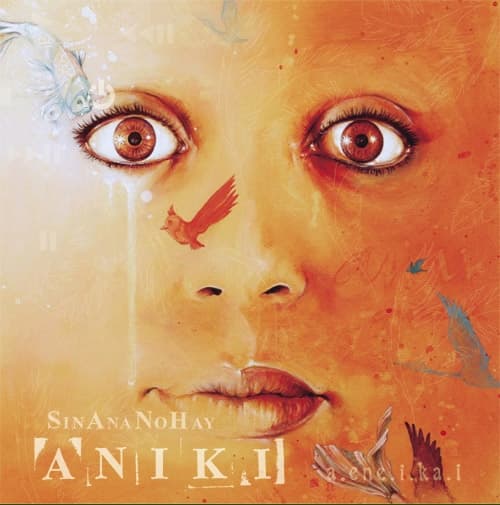 Album cover art for SinAnaNoHayAniki