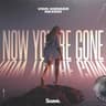 Now You're Gone