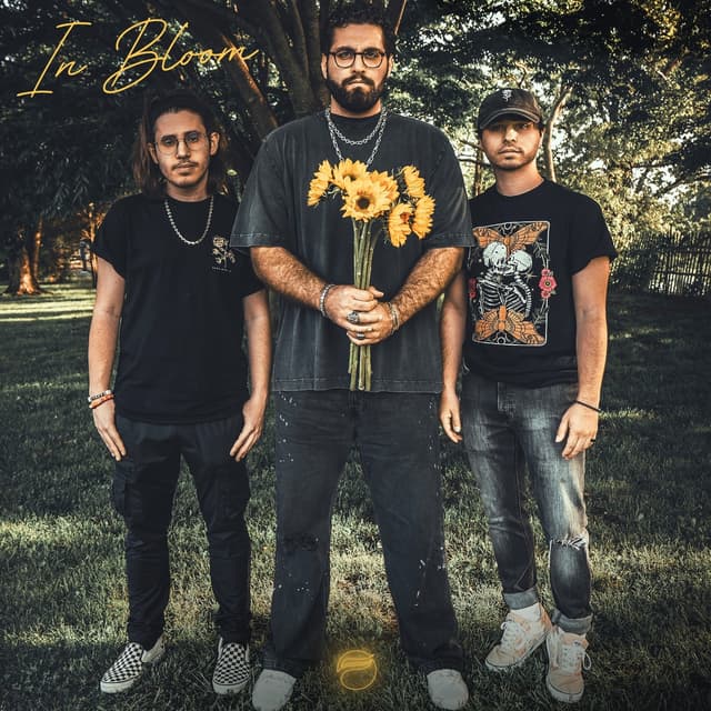 Album cover art for In Bloom