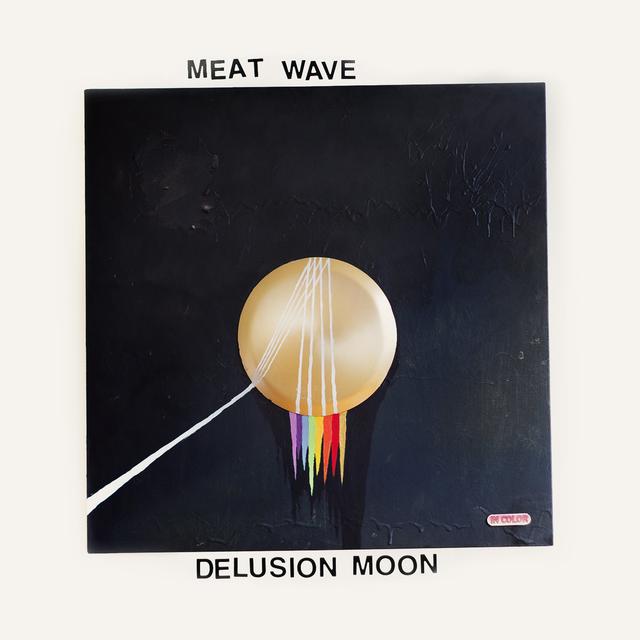Album cover art for Delusion Moon