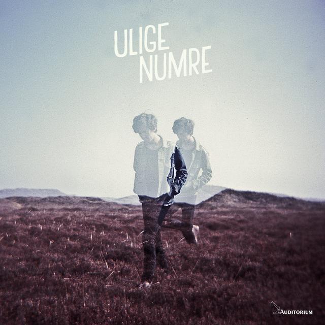 Album cover art for Ulige Numre