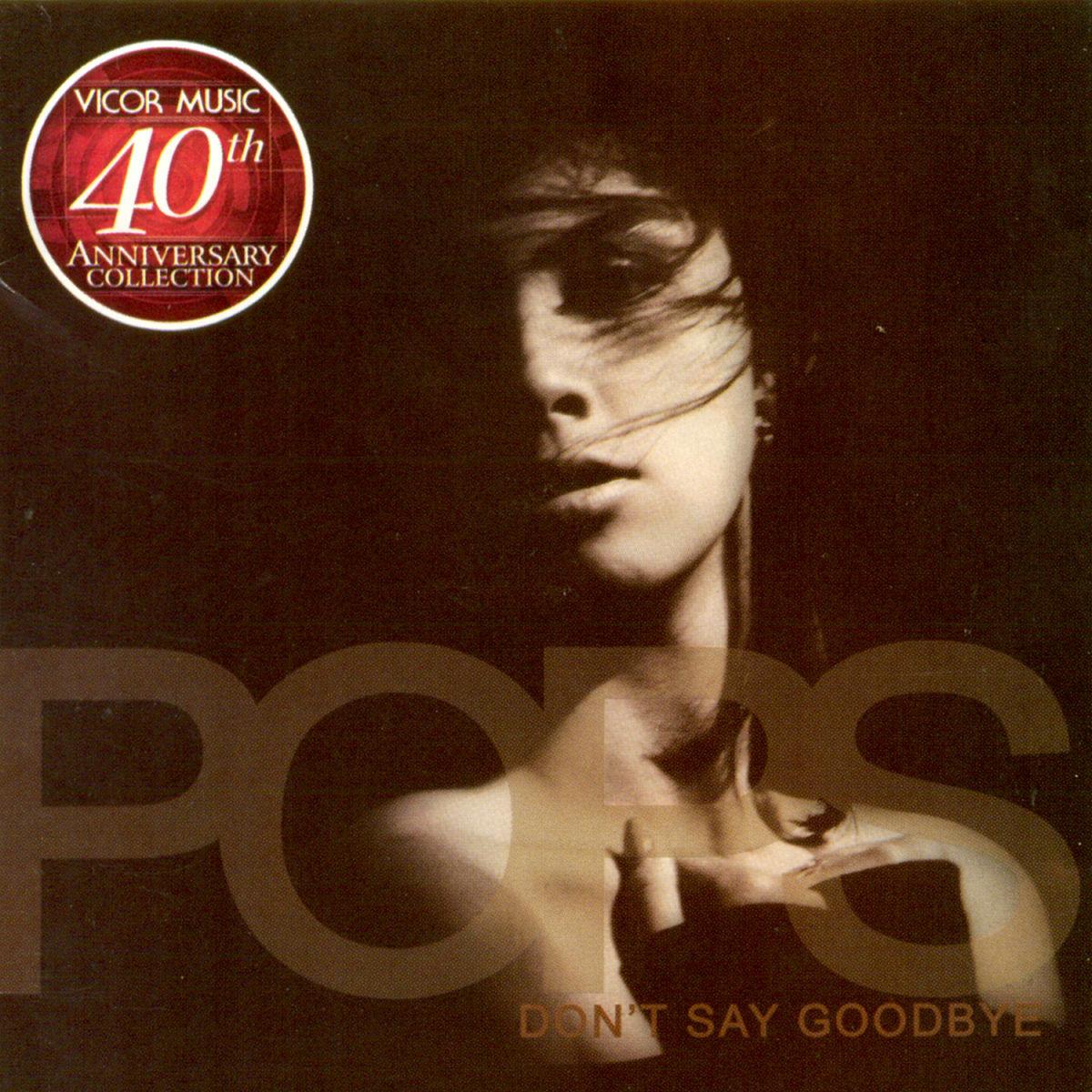 Don't Say Goodbye