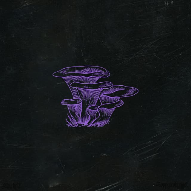 Album cover art for Nachpit
