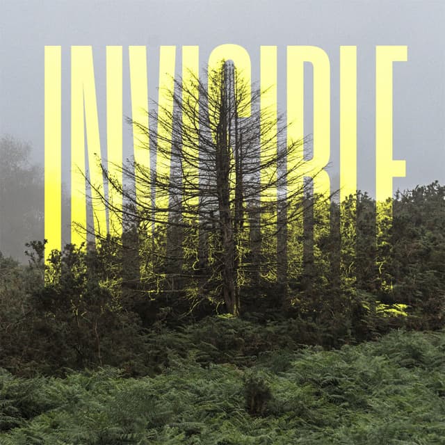 Album cover art for The Invisible EP