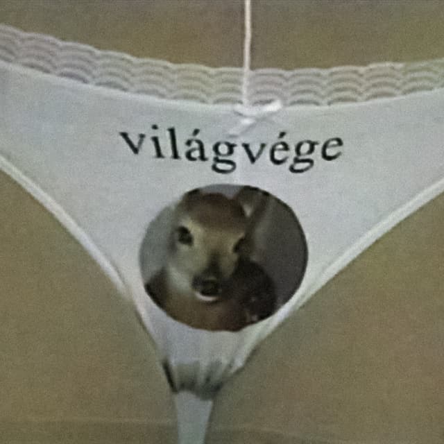 Album cover art for Világvége