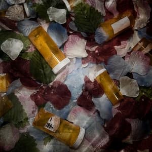 Album cover art for Select Your Inhibitor