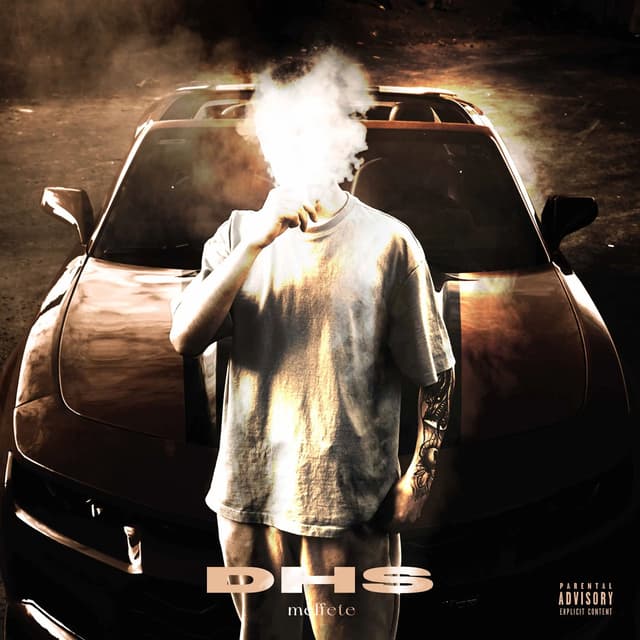 Album cover art for D.H.S.