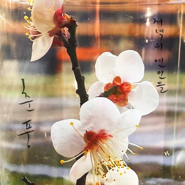 Album cover art for 춘풍