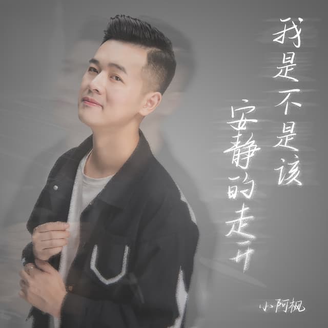 Album cover art for 我是不是该安静的走开
