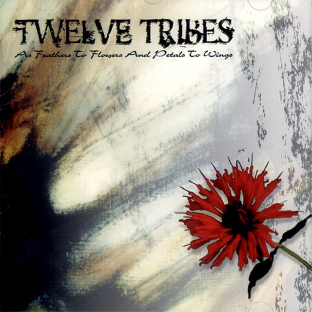 Album cover art for As Feathers To Flowers And Petals To Wings