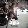 SOLO
